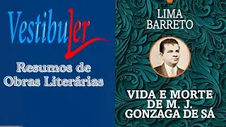 VIDA E MORTE DE M J GONZAGA DE SÁ -  resumo vestibuler