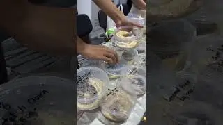 Snake Farm #bangkokcity #thailand