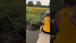 Крупный травяной карп! Рыбалка с луком! #рыбалкаслуком #травянойкарп