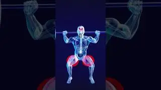 Understanding G-Force: The Thrill and Science!