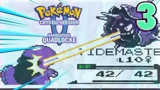 STALL CLOYSTER - Pokemon Crystal Randomizer Quadlocke 3