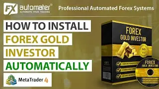 Как установить Forex GOLD Investor с помощью автоматического установщика