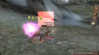 9 Dragons High Level Shaolin Hybrid Best Skills