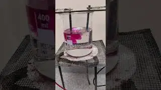 The electrolysis of salt water with phenolphthalein indicator
