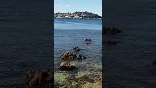 Eden NSW
