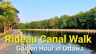 Golden Hour Walk in Ottawa 🇨🇦 | Rideau Locks to Dows Lake | No Music, Just Nature