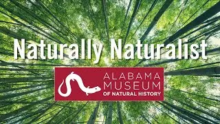 Alabama Museum of Natural History: Naturally Naturalist