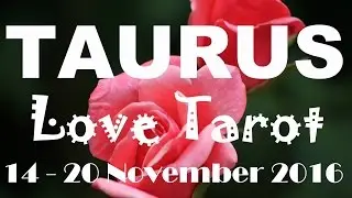 Taurus Weekly LOVE Reading 14th - 20th November 2016