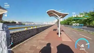 麗豪至金蛋試路