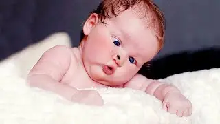 Try Not To Laugh Challenge | Cute & Funny Babies