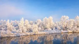 La loire le magnifique fleuve sauvage 
