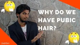 Why Do We Have Pubic Hair? - UniWhy