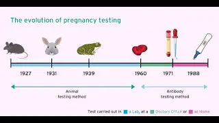 The History of Pregnancy Testing