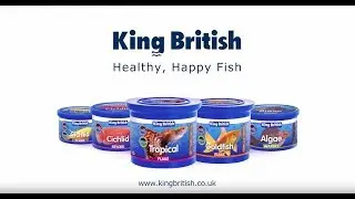 Why King British fish flake food is the best for fish