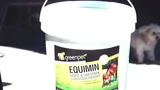 Naturopathy for Horses 🐴 