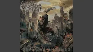 Apostles to the Grave