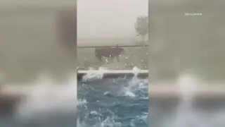 Texas bull caught on camera escaping hailstorm: 'They're pretty resilient'