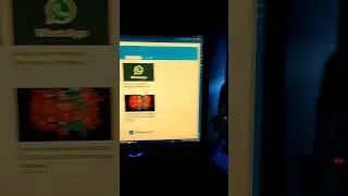 Come reimpostare WhatsApp Desktop in Windows 11