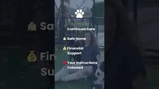 Top Tips - Why Create a Pet Trust?
