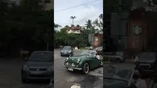 #shorts Triumph TR-3 , Austin Healey, Mini 1000 , Jaguar E 116 type ❤️ old is gold💛