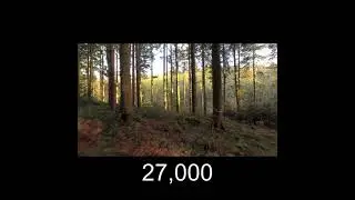 27000 trees are cut to make toilet paper #shorts