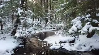 Day 7: The Lavish Love of the Father