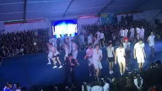 Palomos GM 2019
