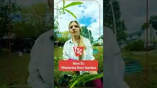 How to Winterize Your Garden | Tractor Supply Co.