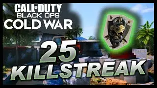 25 KILLSTREAK! - BRUTAL MEDAL [BLACK OPS: COLD WAR]