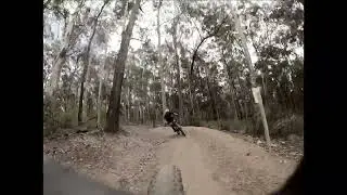 Small take of the Woolgoolga trail network Northern NSW @sheddershell @woolgoolgamtb