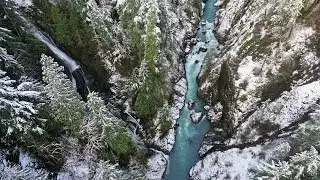 The 
