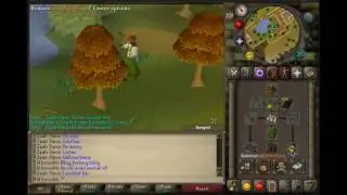 Lil Bruh's OSRS Zeah Ironman 5- XERIC'S TALISMAN