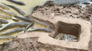 Amazing Hole Fish Trap- Smart Boy Build Fish Trap By Muddy soil ..