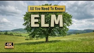 Elm Tree | All You Need To Know About
