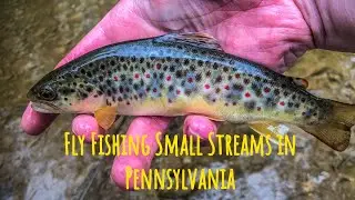 Fly Fishing Small Streams in Pennsylvania