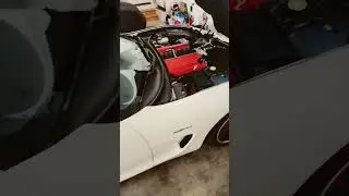 Speedway white C5 with LS3 fully built block