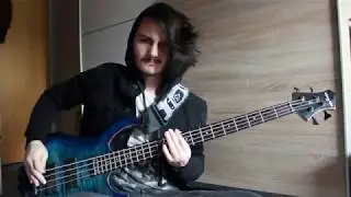 Slipknot - Purity (Bass Cover)