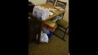Disney College Program Apartment Tour - The Commons