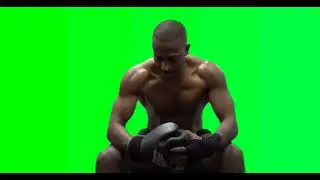 Boxer Green Screen: Memes Unleashed