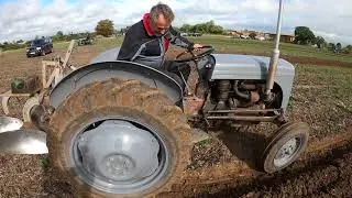 1954 Ferguson TEF20 2.1 LItre 4-Cyl Diesel Tractor (28 HP) With Ferguson Royal Forest Ploughing 2025