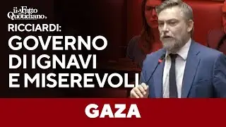 Gaza, Ricciardi cita De André: 