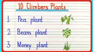 10 climbers plants name in english || climbers plants name || 10 climbers plants ke naam