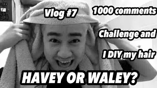 Blondie Yurn? (VLog #7 part 2) - Kith J. Solis Vlogs