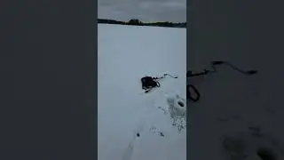Flyfishing currently not possible, so time for perch icefishing
