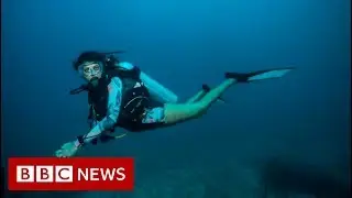Saving India&rsquo;s coral reefs - BBC News