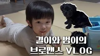 [VLOG GYEOL]결이와 아기 강아지 범이의 우당탕탕 브이로그 #babyboy #baby #puppy