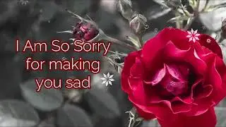 Forgiveness Message for Apology: I&rsquo;m Sorry Messages : Apology Texts for Loved one and Special Ones