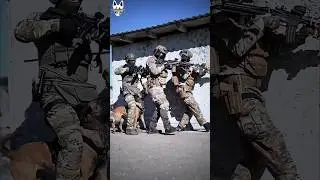 Belgian malinois at frontline in military operation#shorts #malinois #dog #military