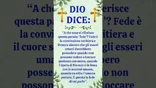 Fede: confidare in Dio anche quando non capisci il Suo piano.