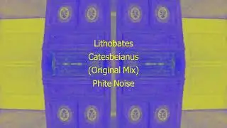 Phite Noise - Lithobates Catesbeianus (Official Audio)